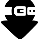 Logo BiglyBT
